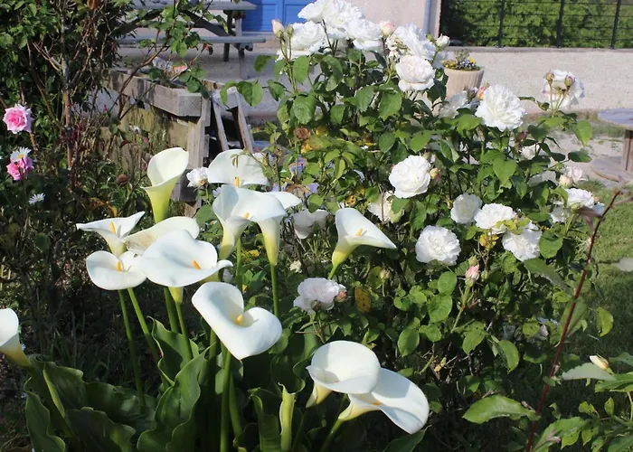 Bed & Breakfast La Tremouchere Gesvres